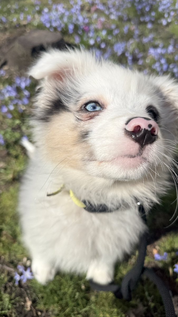 Mila 👩🚀 tweet media