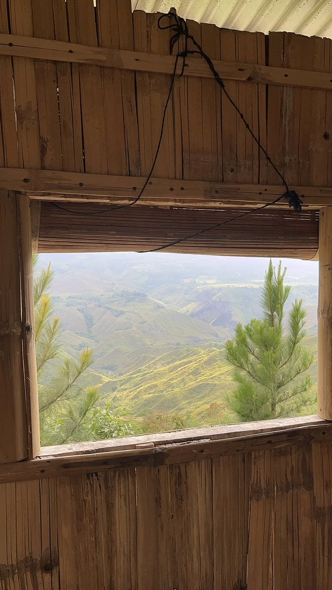 CESS🍀ꕤ tweet media