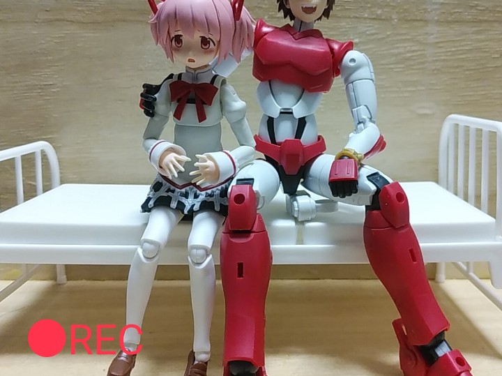 パピィちゃんねる tweet media