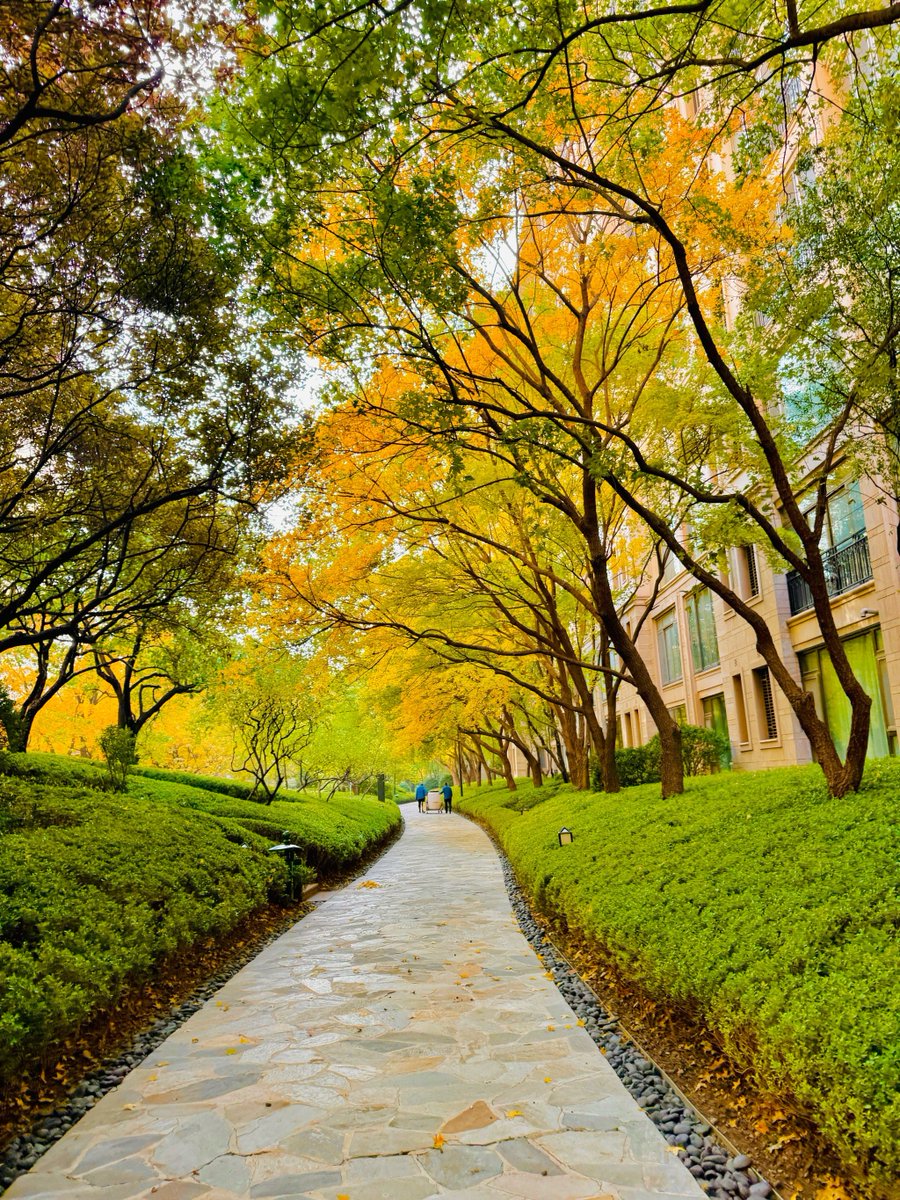 Greg Reitz tweet media