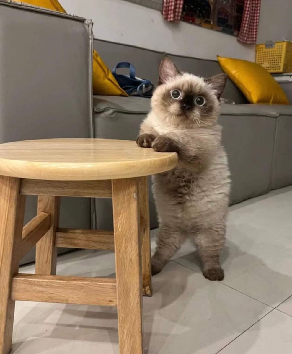 𝐌𝐚𝐭𝐭 𝐏𝐢𝐧𝐧𝐞𝐫 tweet media