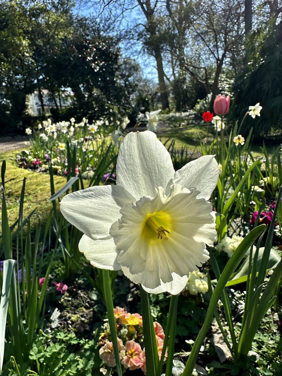 gnsymutterings tweet media