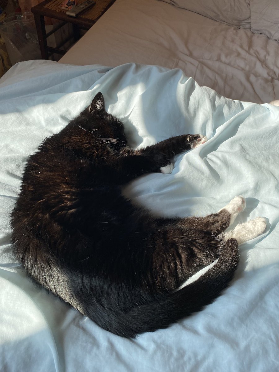 Vieanne Lyle tweet media