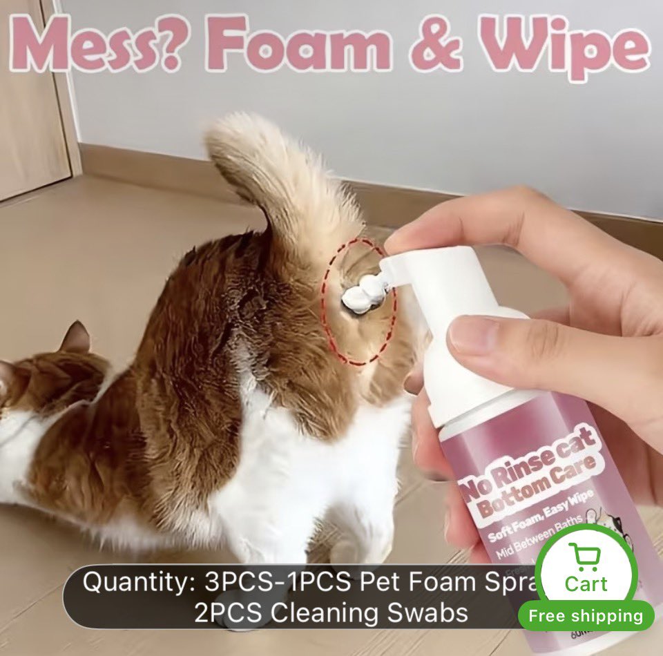 Gillian Fennell tweet media