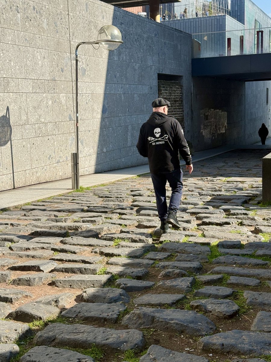 Charlotte  tweet media