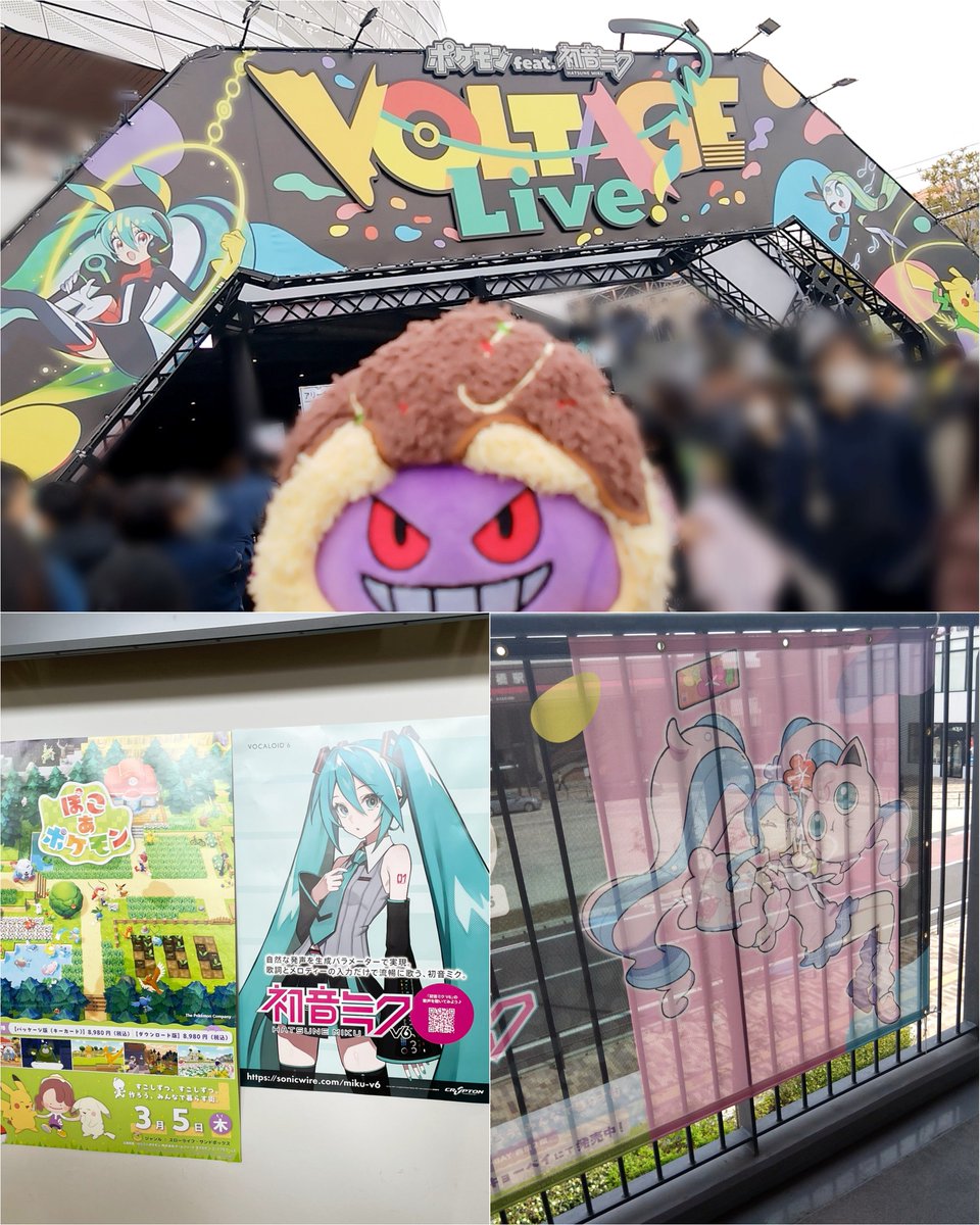 のはね🥟 tweet media