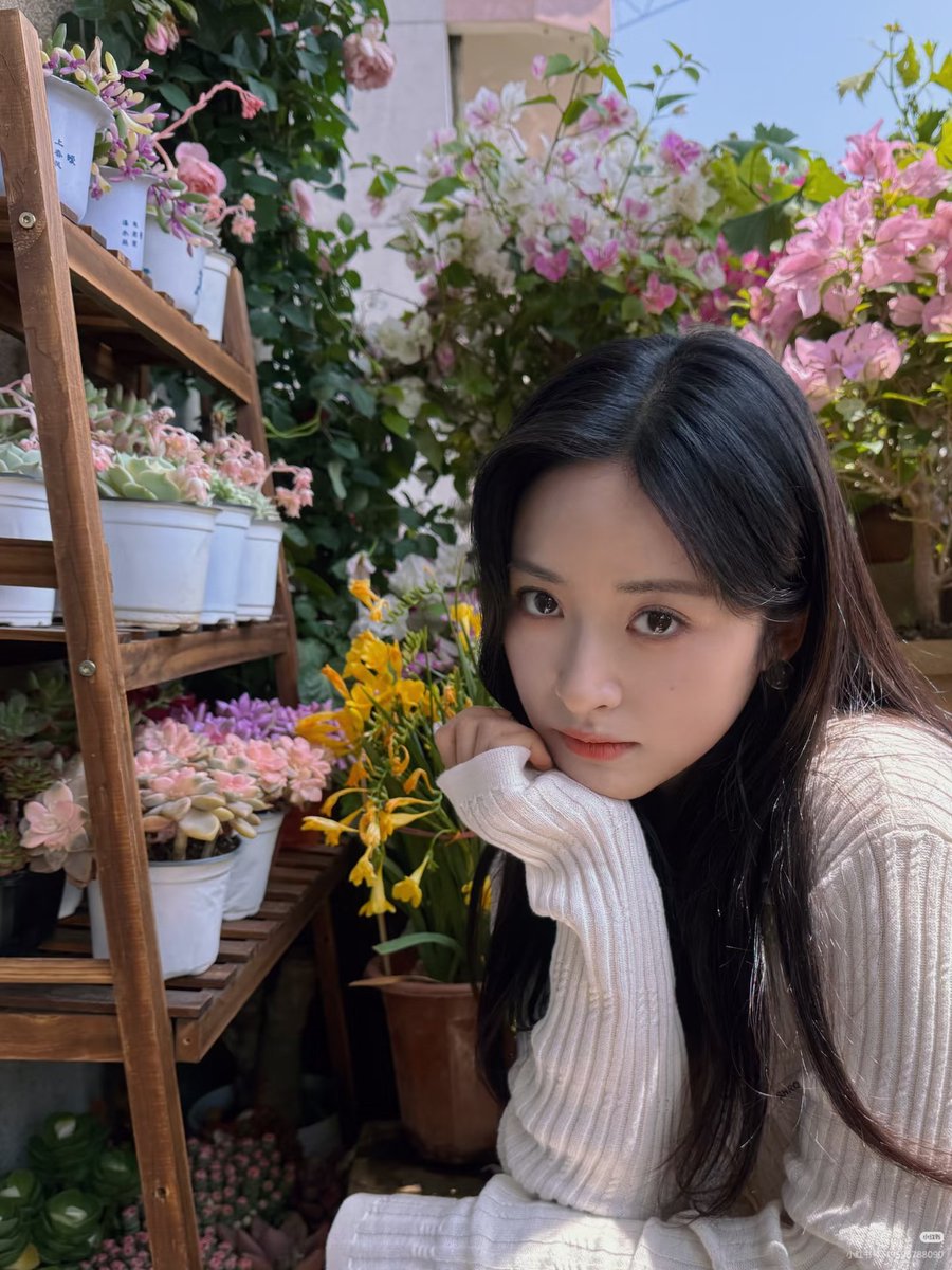 💛沈月💛 tweet media