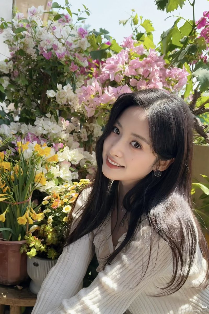 💛沈月💛 tweet media