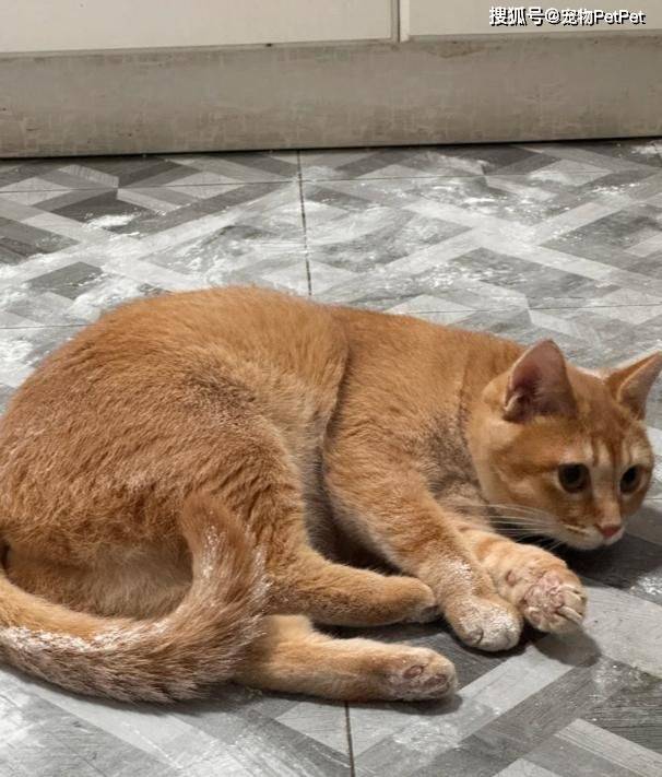 Edilson Panicki tweet media