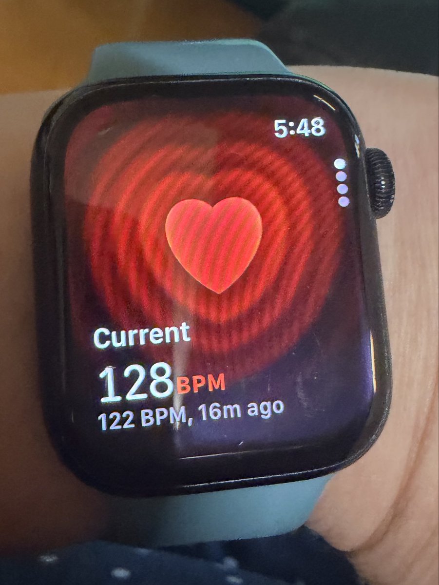 bamberee/Bree tweet media