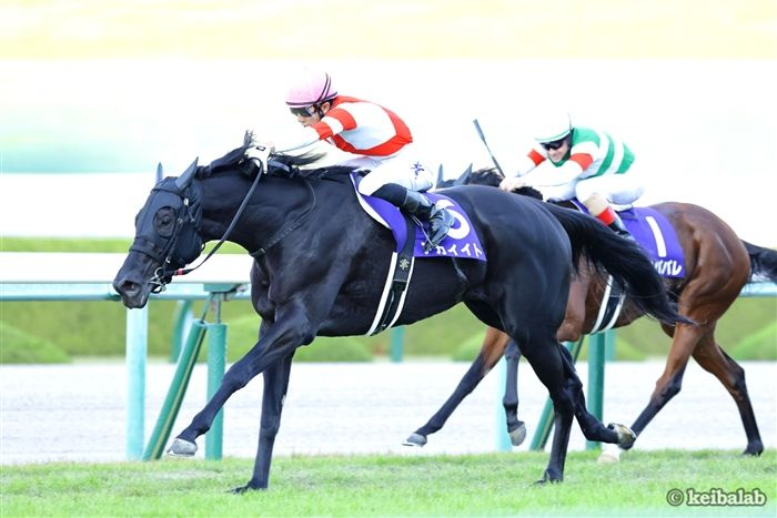 競馬ラボ tweet media
