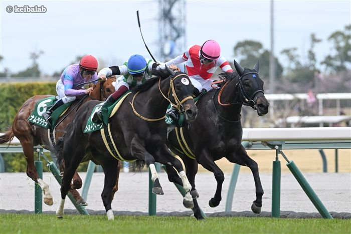 競馬ラボ tweet media