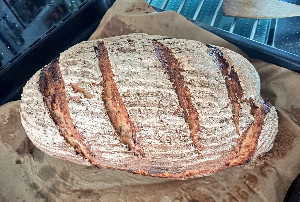 MyBrainFudge 👩‍🏫👩‍⚕️🏃‍♀️🏋🏽‍♀️ tweet media