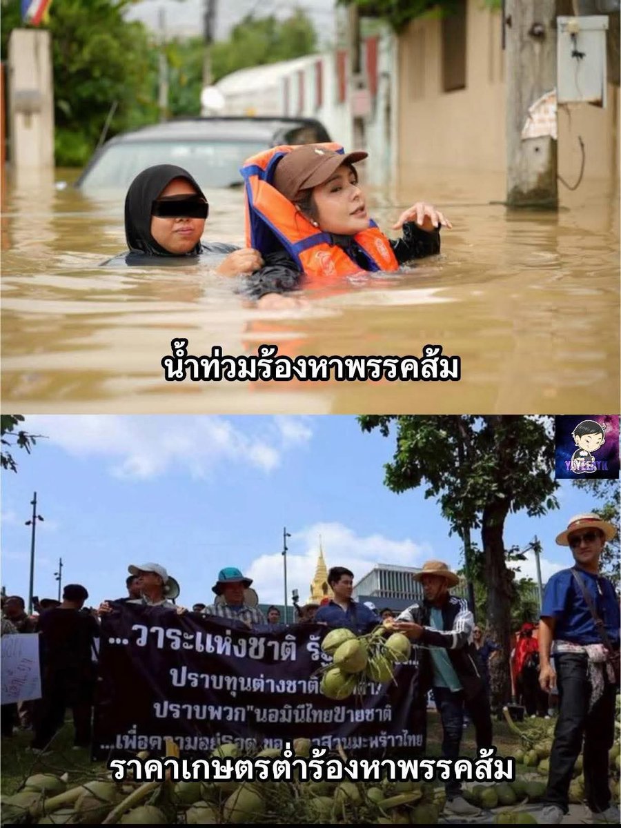 Peerapat tweet media