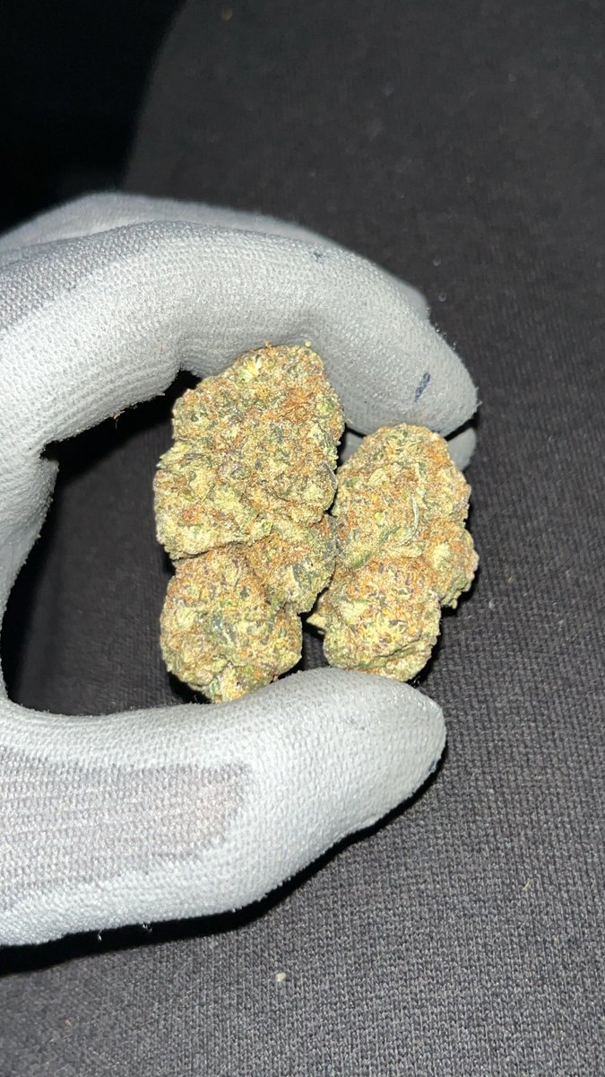 コナン2世 tweet media