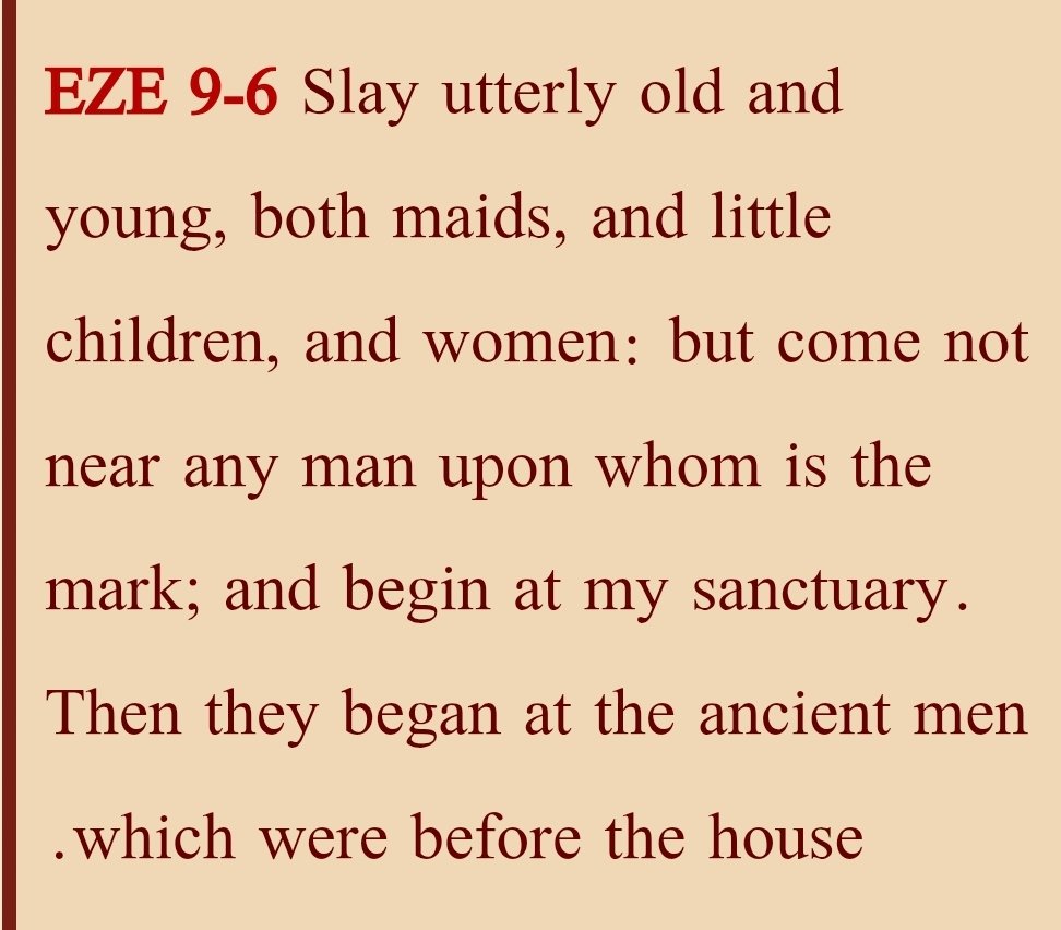 مصطفى مجدي tweet media