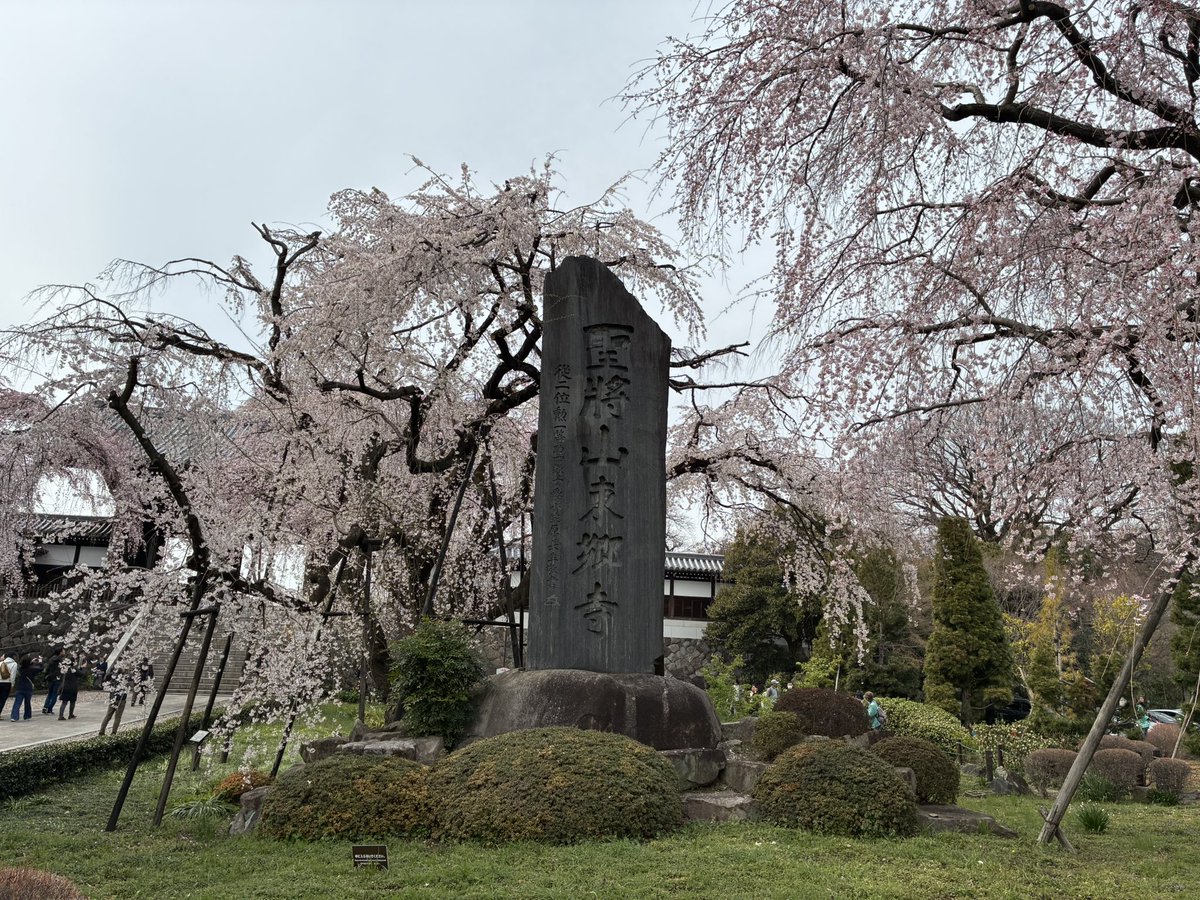 alexandre rogala tweet media