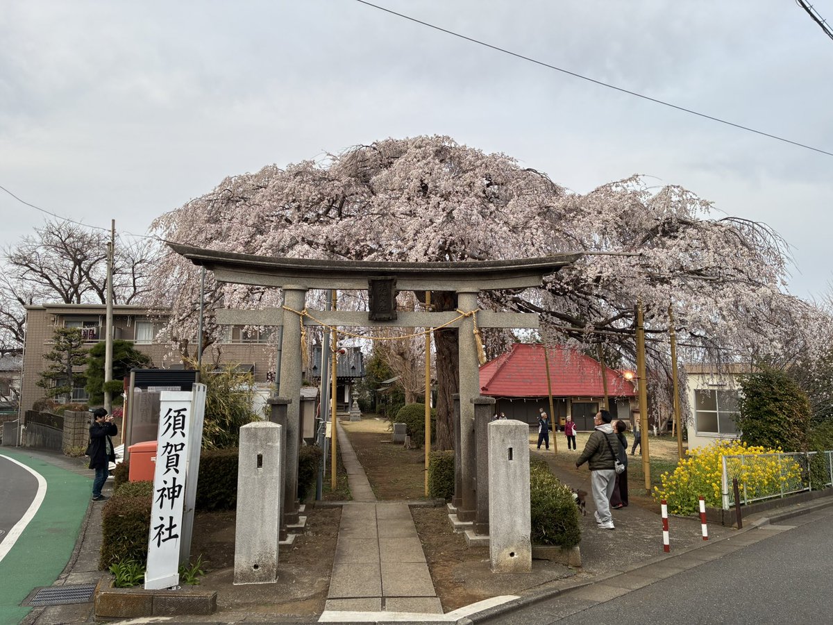 alexandre rogala tweet media