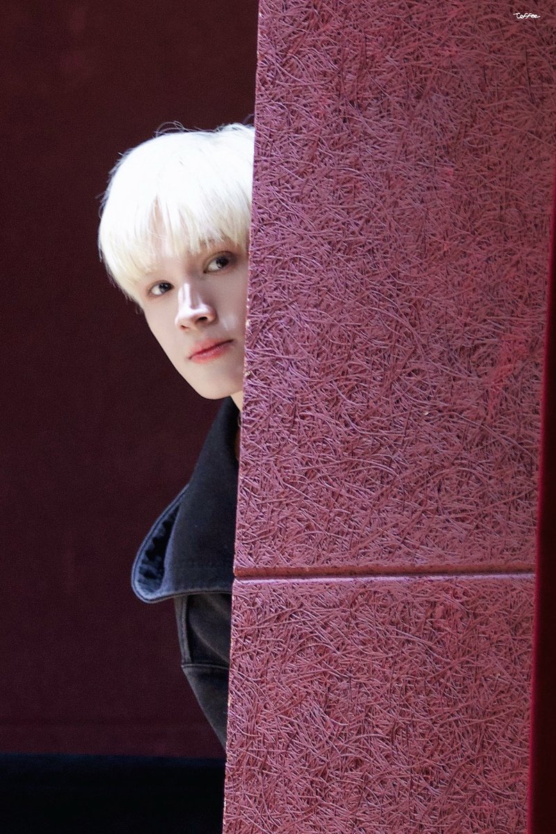 𝗧𝗼𝗳𝗳𝗲𝗲 tweet media