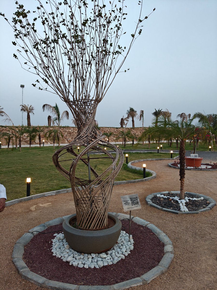 Ved Malik tweet media