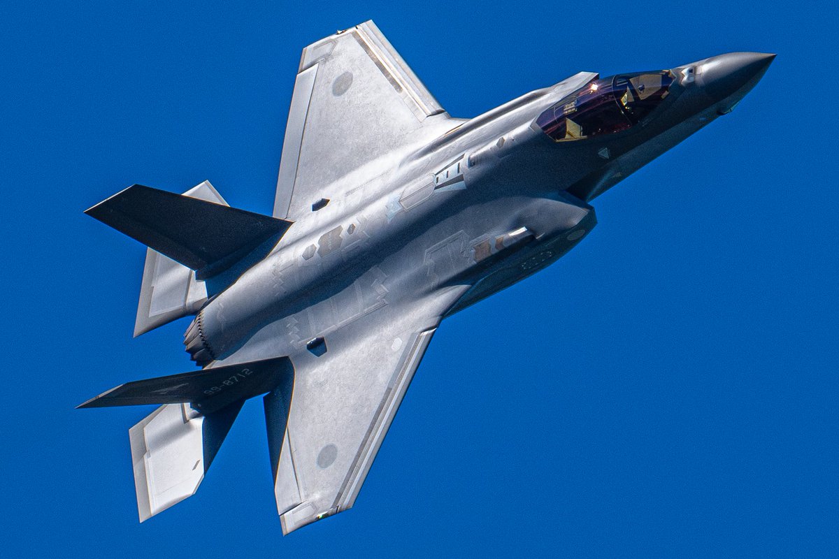 カリス（は湯たんぽ使用中？） tweet media