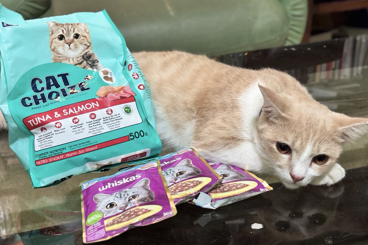 beam🐰 tweet media