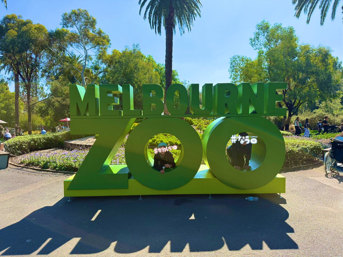 デイパパ@不登校から家族4人世界旅へ（現在🇳🇿） tweet media