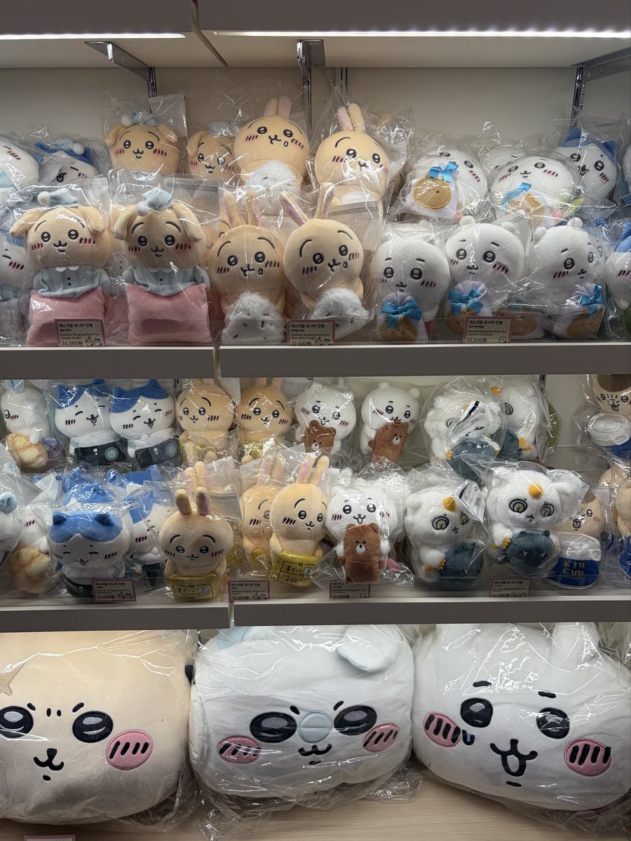 우린젊다 tweet media