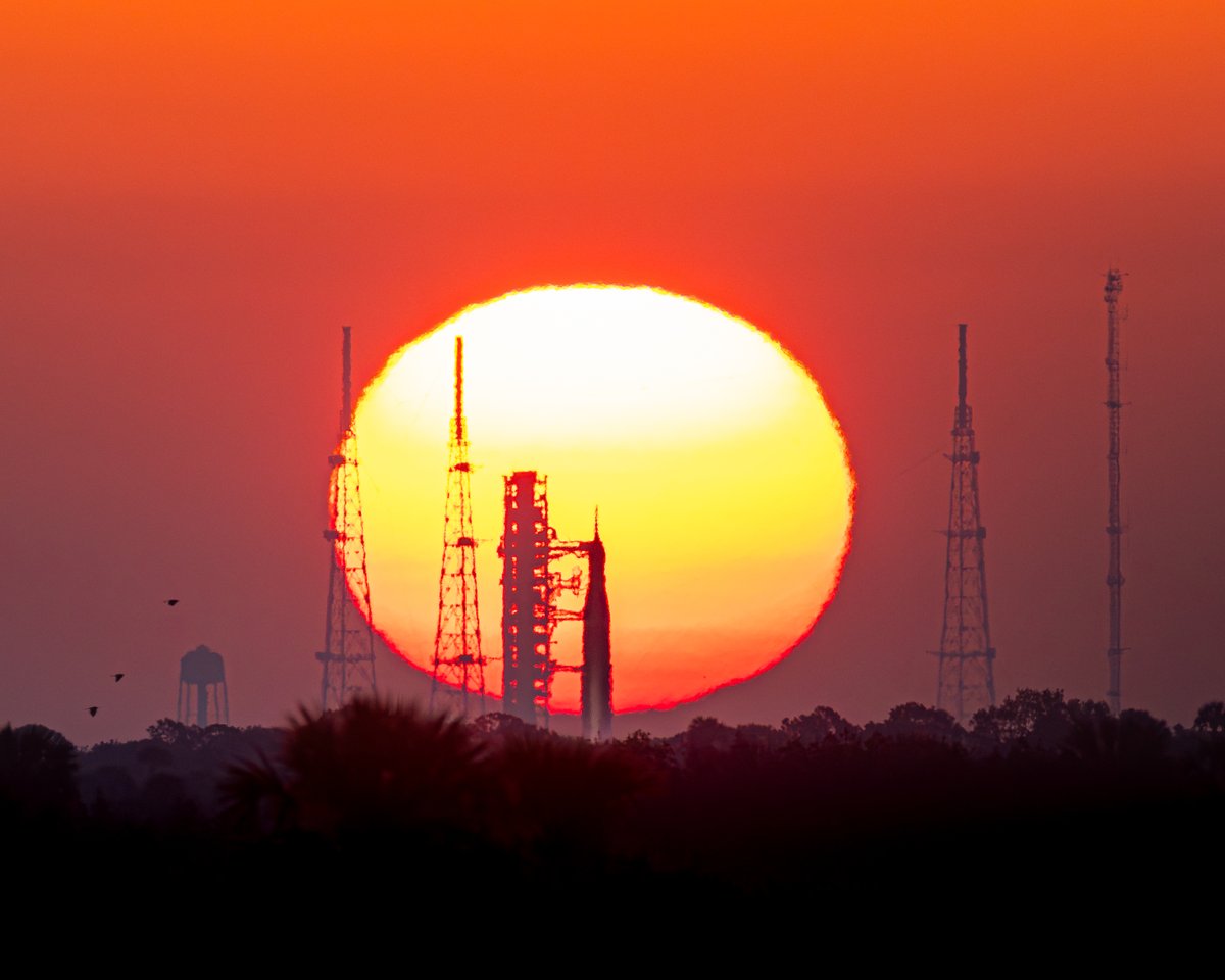 Michael Seeley tweet media