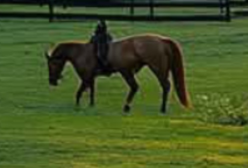 Keith Olbermann tweet media