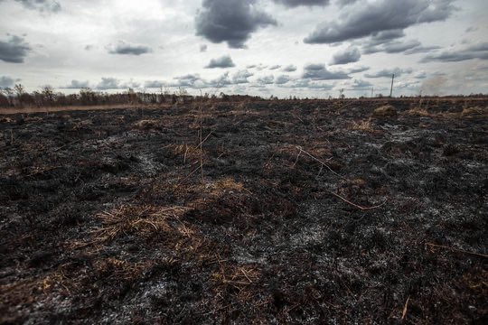 Bhoy in Red 🇵🇸 tweet media