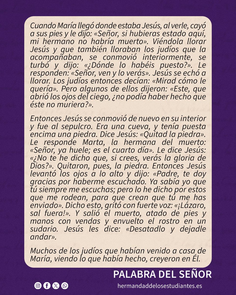 #EvangelioDelDía 

Domingo de la V Semana de Cuaresma.

Juan 11,1-45: «Yo soy la resurrección»

#FelizDomingo #LosEstudiantes