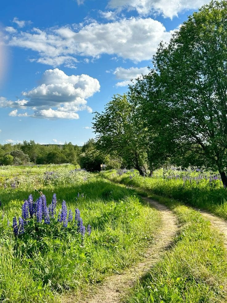 𝑝𝑢𝑟𝑒 tweet media