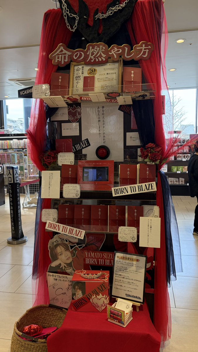 🦥ゆたひゅがの隣🐻 tweet media