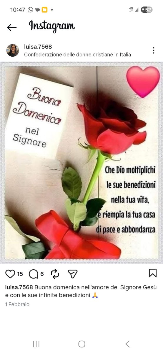 Decisamente carissimi ❤️🙏🌷🌹🌷🌤️☀️🌈🌈🌈❤️🌹🌷🌹😊😉😉😉