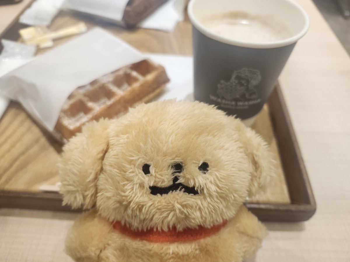 ひーちゃん tweet media