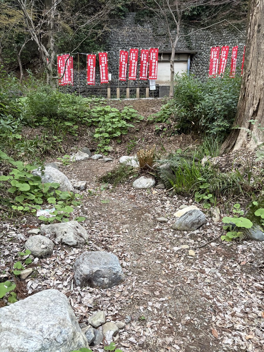 萌え水 tweet media