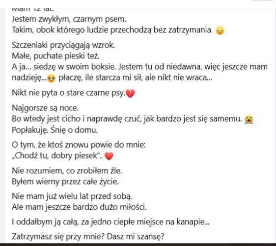 RobwalkaW's tweet photo. Pisałam,że nie będzie udany dzień i nie jest !!
na CITO potrzebny dom dla 12 letniego labradora
tyle samo lat spędził w domu rodzinnym i został oddany jak niepotrzebna rzecz 
PILNY DOM !!
TEN SMUTEK 😭😭😭
schronisko we Wrześni woj wielkopolskie https://t.co/Q48RbkfrcE