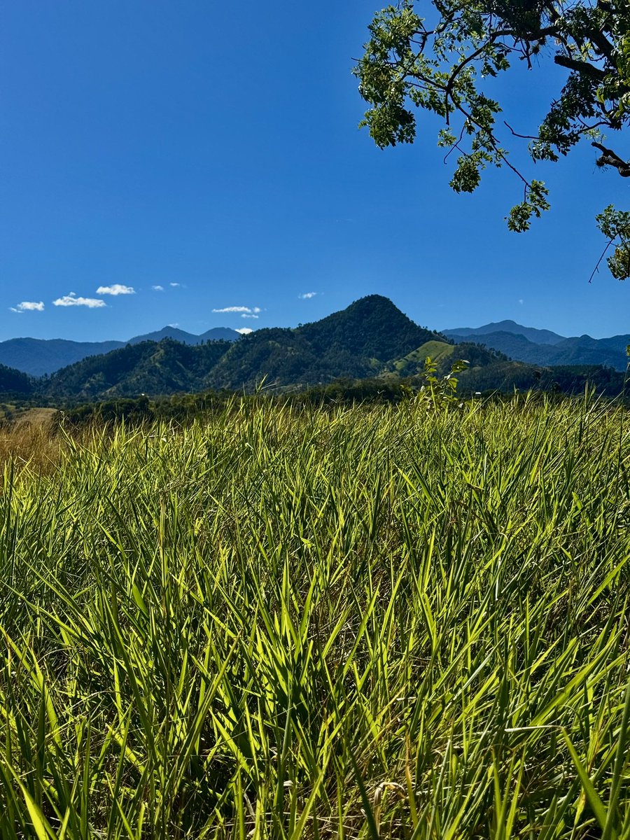 La vida es como una leyenda: no importa que sea larga, sino que esté bien narrada.
No importa cuanto vivamos sino cómo lo hagamos.
Séneca.