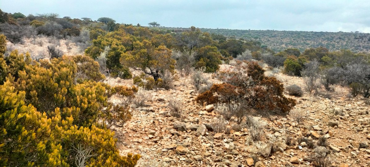 Guerra en la Universidad tweet media