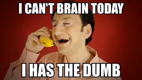 NotKnown tweet media