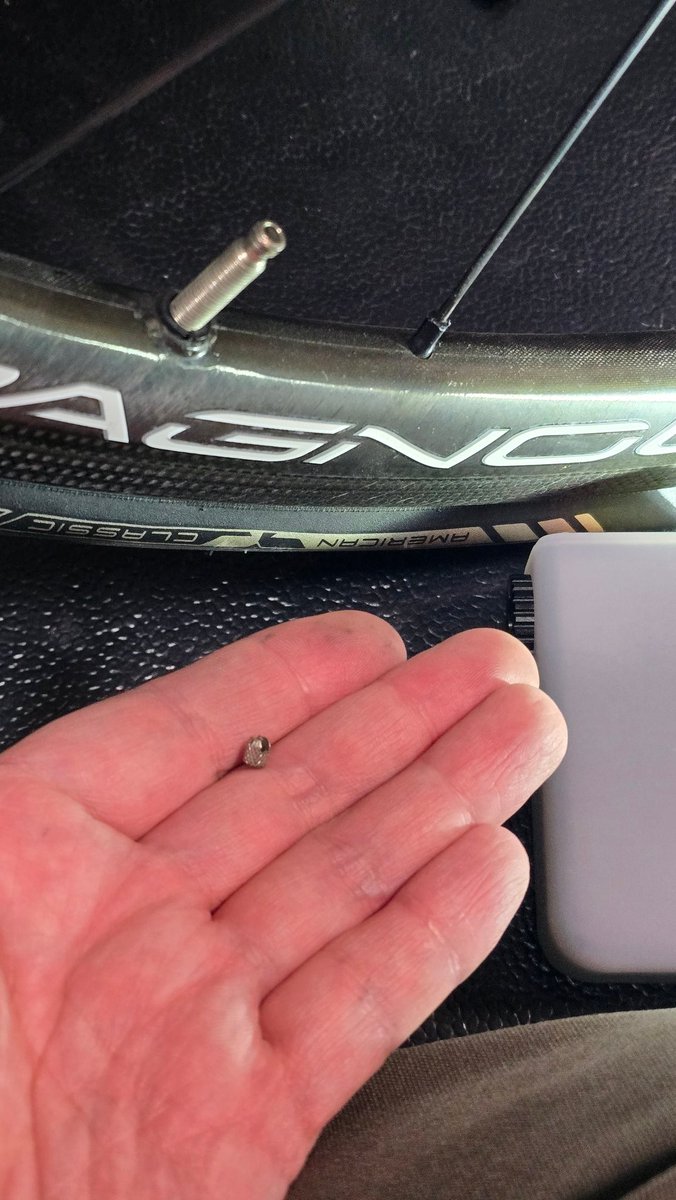 こたらん tweet media