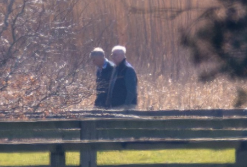 Mirror Royal tweet media