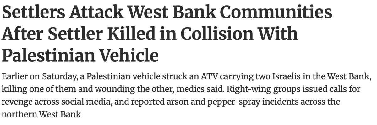 Shany Mor שני מור شني مور tweet media