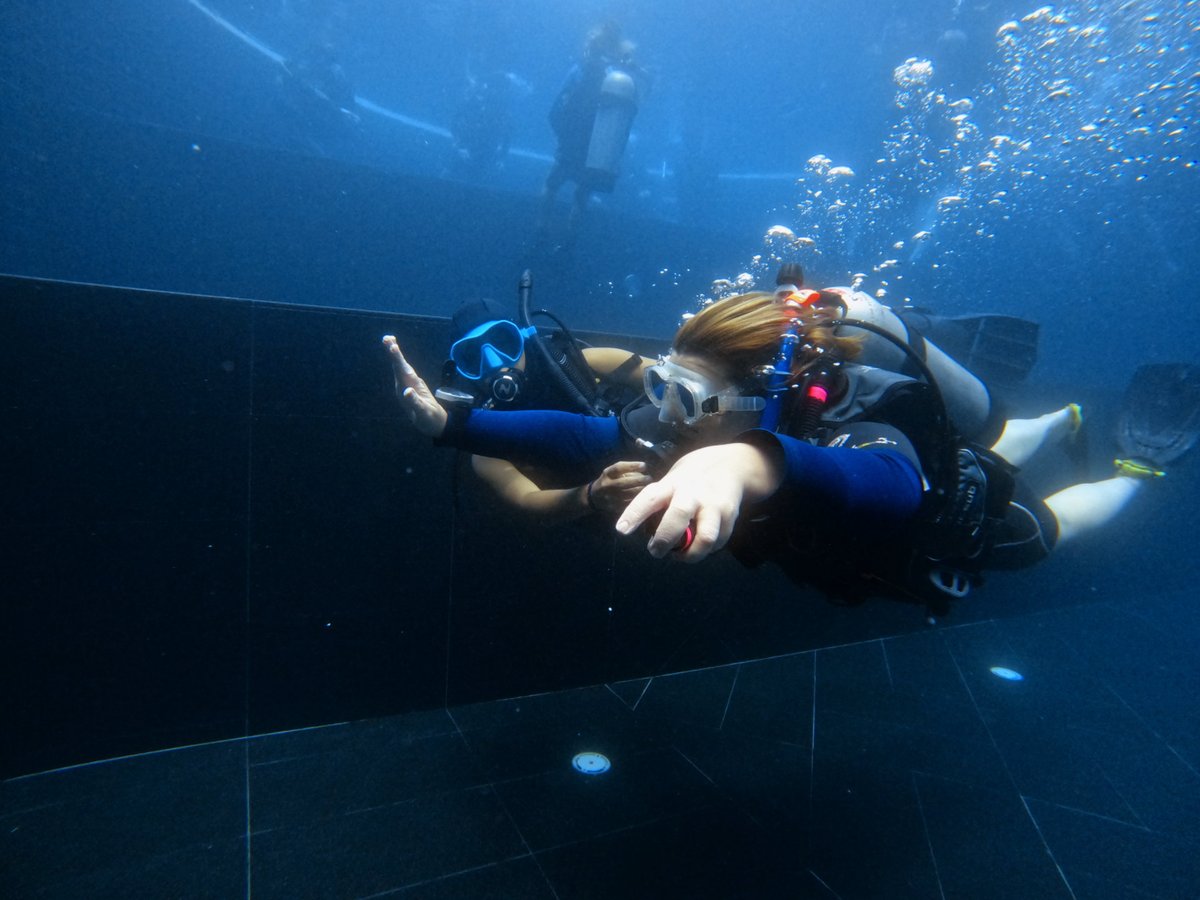 GoProIDCKohTao's tweet photo. The Instructor Development Course on Koh Tao is held at fixed monthly start dates and will take a total of 16 days including the Instructor Examinations (IE). https://t.co/JmyXK6Y5MU #Instructor #PADI #Scuba #Diving #KohTao #Thailand #IDC #ProLevel #IE #Career https://t.co/YBuhdbmtMQ