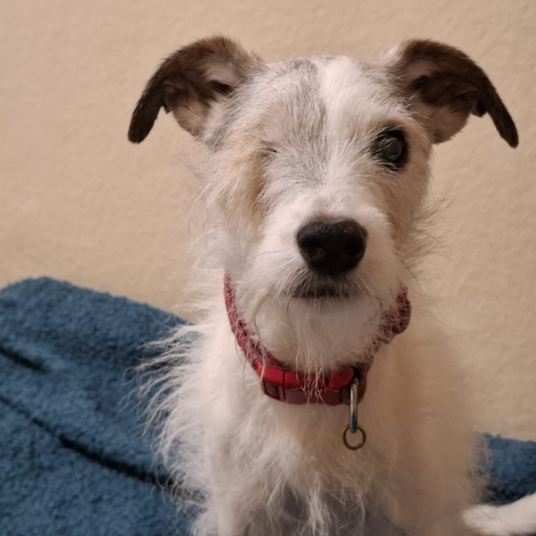 DT Ilfracombe tweet media