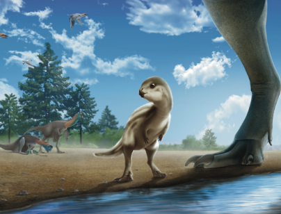 FIFTY FIFTY BASE tweet media