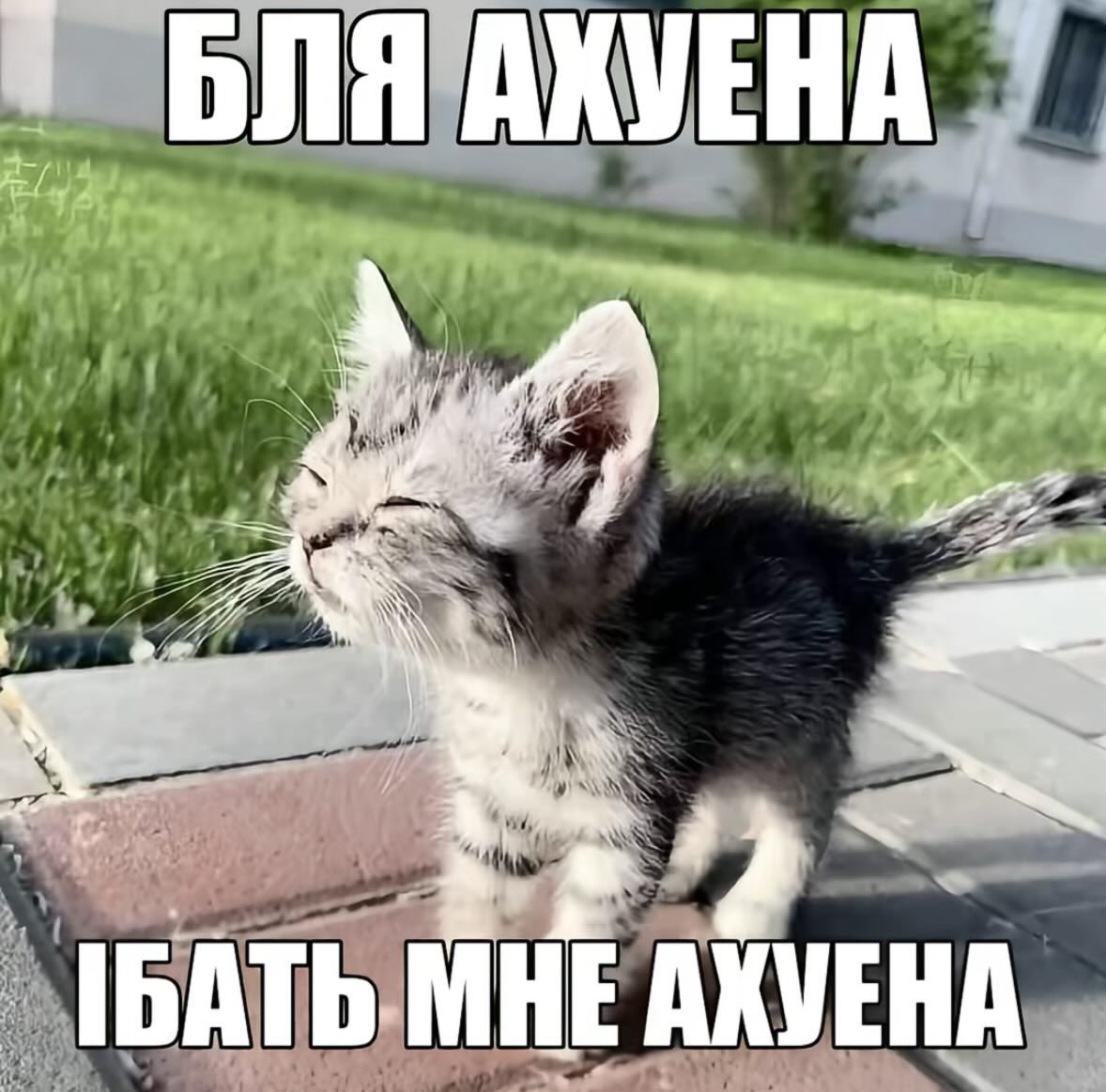перший епізод стіл бол рану зайшов як в суху землю