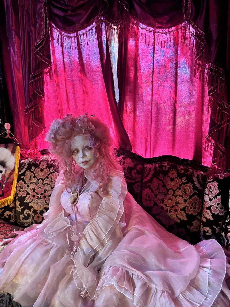 ロウズ⚜️🕒🫀Rose de Reficul tweet media