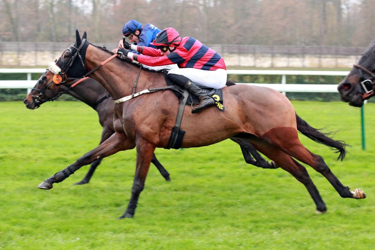 ParisTurf tweet media